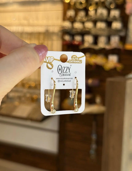 VIP Yuvarlak Zirkon Taş Detay Kanca Küpe 14K