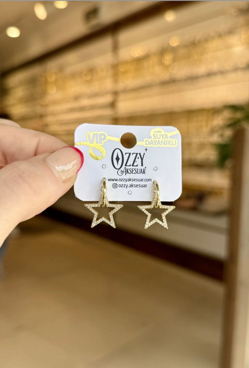 VIP Gömme Taşlı Yıldız Sallantılı Yarım Halka Küpe 14K