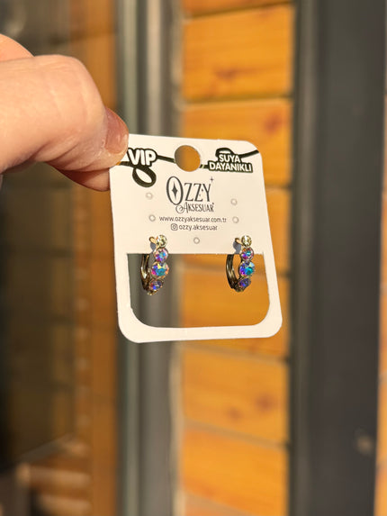 VIP Sıra Yuvarlak Opal Renk Zirkon Taşlı Oval Halka Küpe