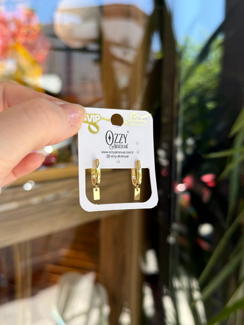 VIP Pul Sallantılı Oval Halka Küpe