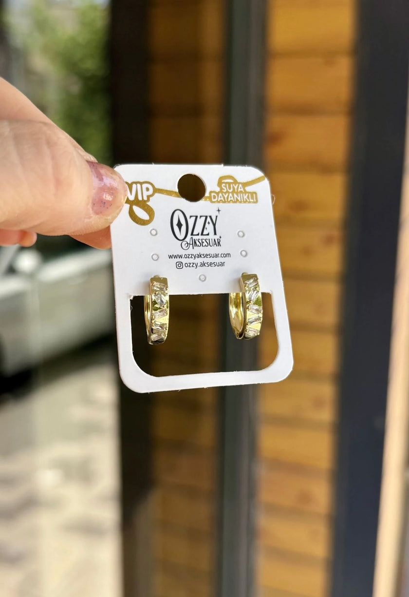 VIP Önü Asimetrik Zirkon Taş İşlemeli Oval Halka Küpe 14K