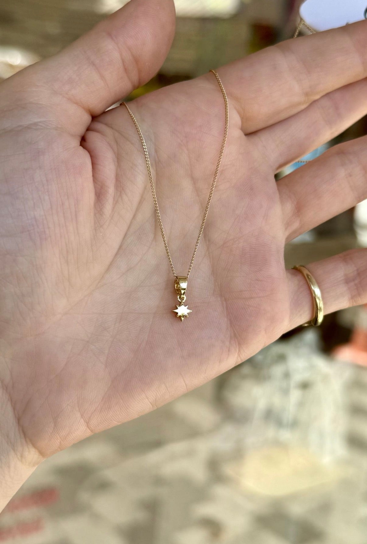 VIP Minimal Kuzey Yıldız Uçlu Kolye 45 cm 14K