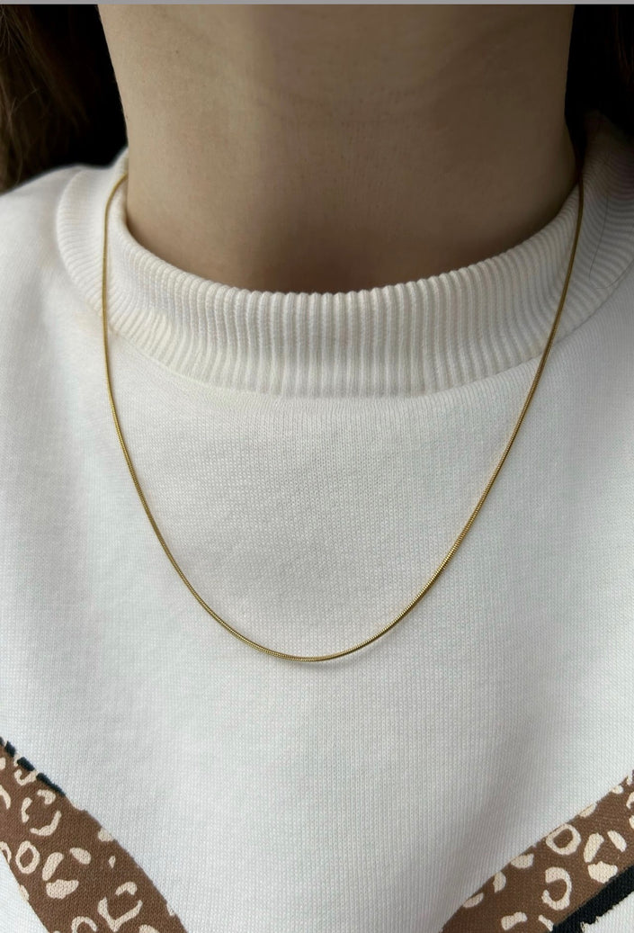 Yılan Sırtı Zincir Sade Çelik Kolye 45 cm