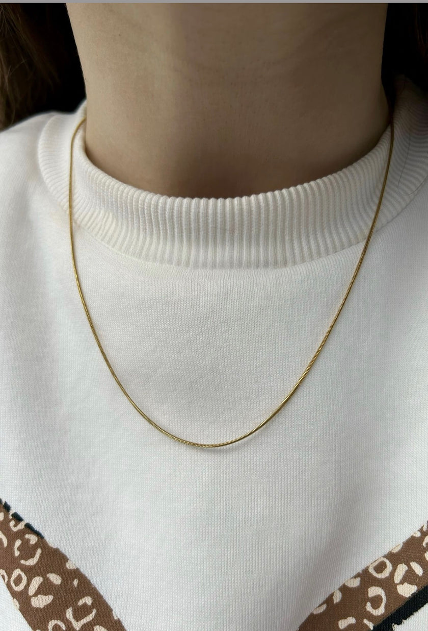 Yılan Sırtı Zincir Sade Çelik Kolye 45 cm