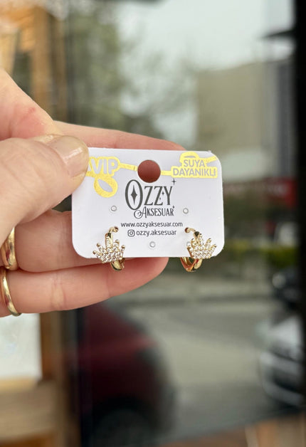 VIP Taşlı Taç Model Halka Küpe 14K