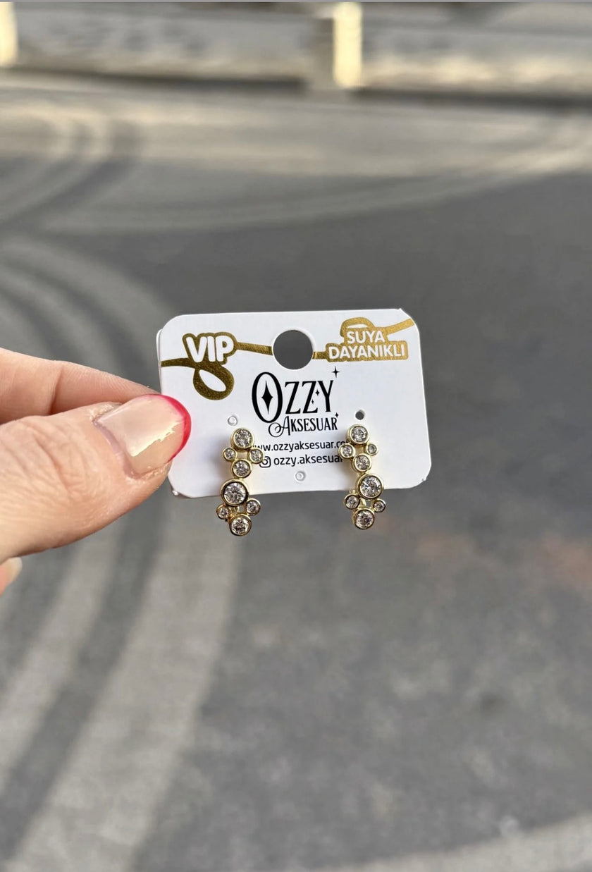 VIP Yuvarlak Taşlı Petek Küpe 14K