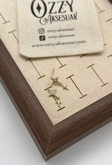 VIP Gömme Taşlı Sallantı Detay Kuzey Yıldızı Küpe 14K