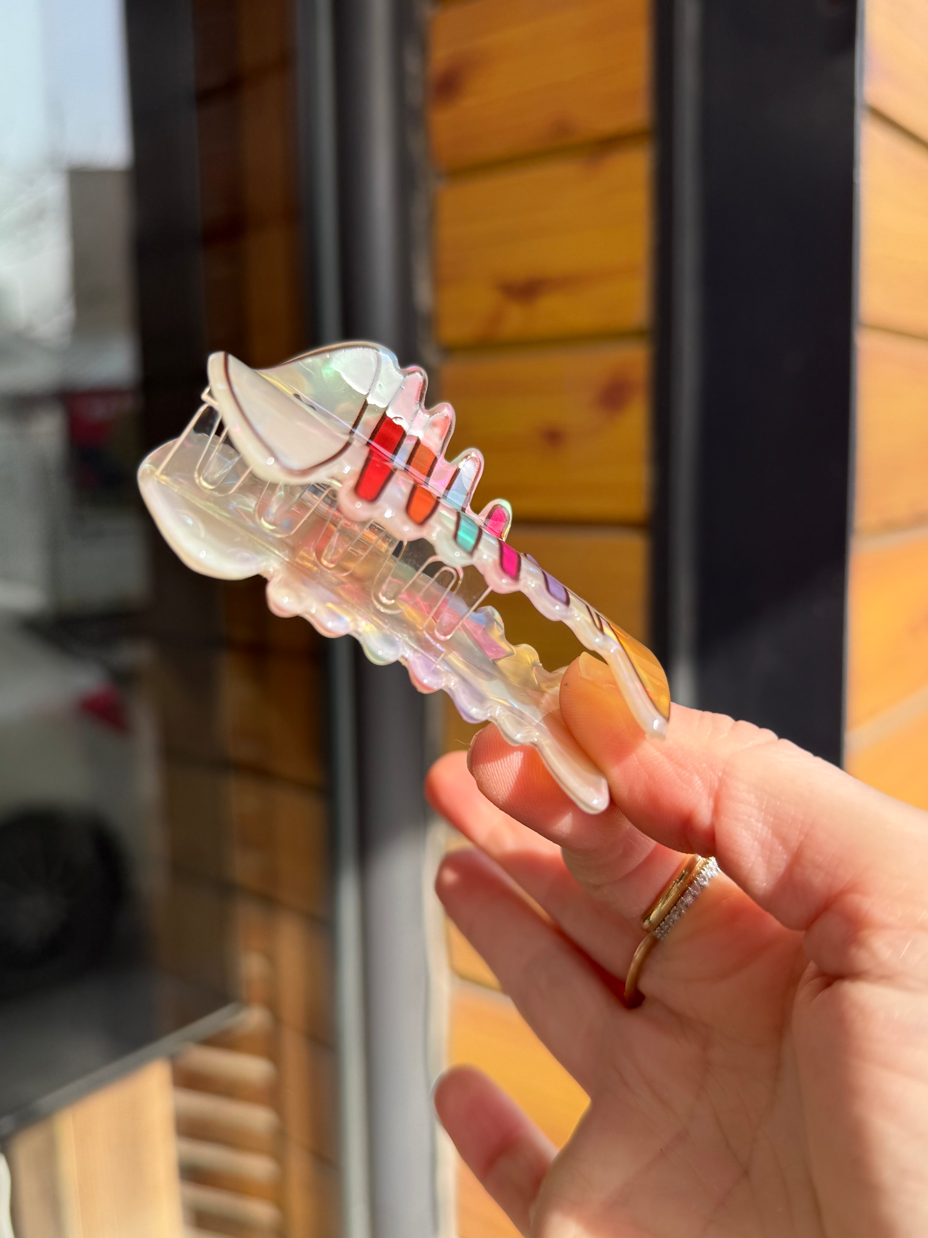 Sedefli Balık Model Asetat Sağlam Mandal Toka Renkli Kılçık