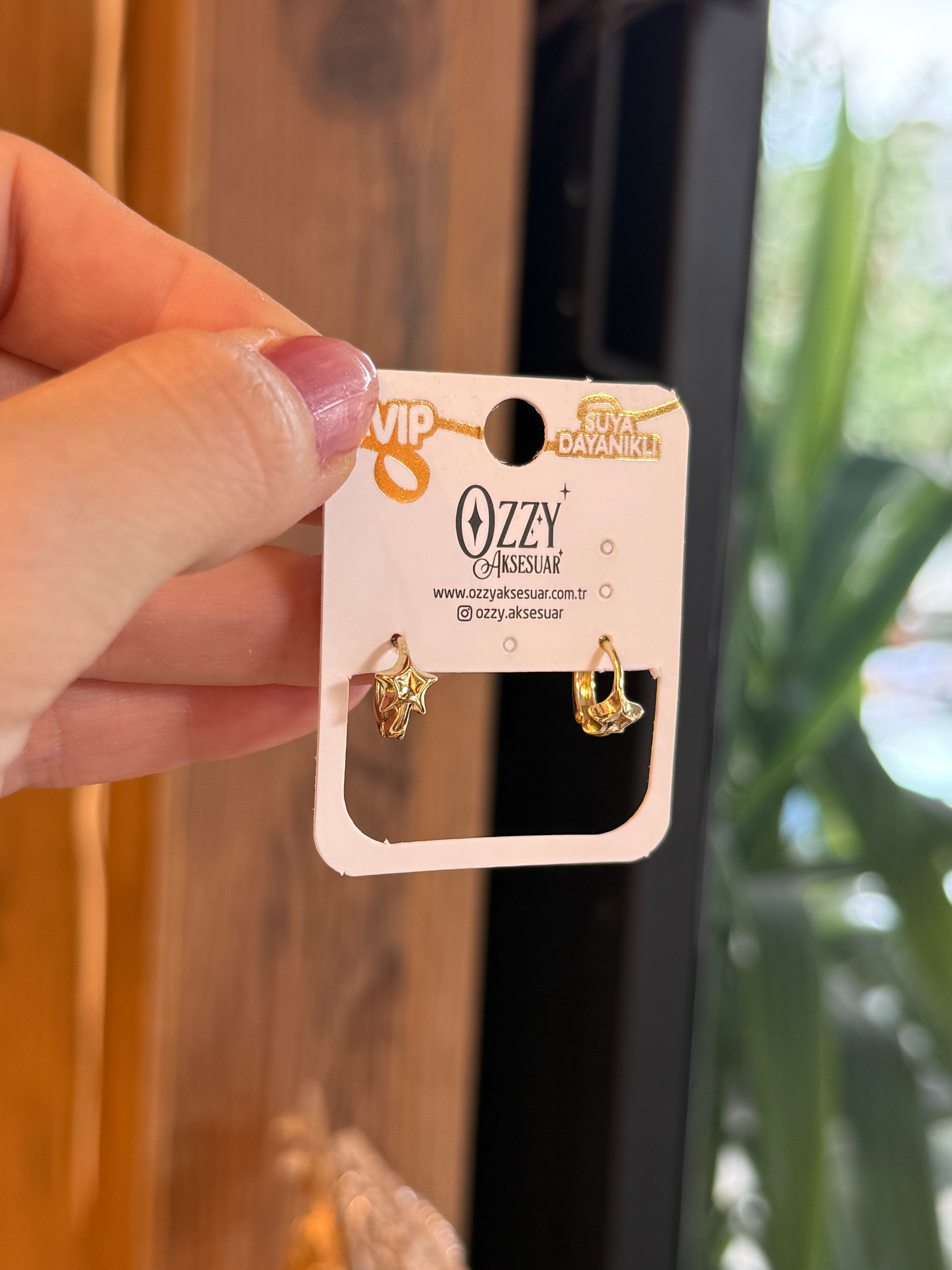 VIP Yıldız Detaylı Küçük Halka Küpe